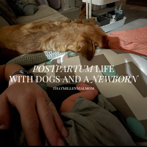 Postpartum Life with Dogs